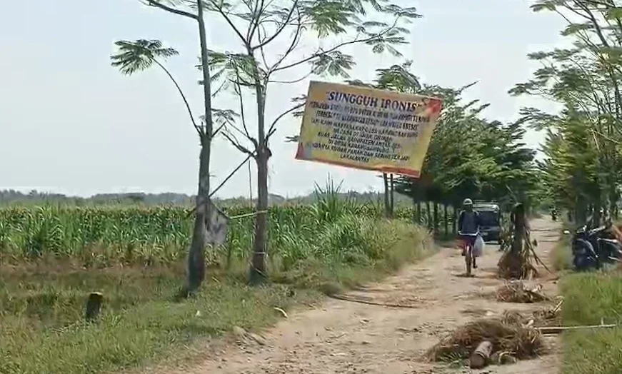 Protes Jalan Rusak di Karangsambung Losari Brebes, Warga Pasang Spanduk dan Tanam Pohon Pisang