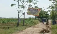 Protes Jalan Rusak di Karangsambung Losari Brebes, Warga Pasang Spanduk dan Tanam Pohon Pisang