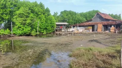 Rob Rendam Ratusan Rumah dan Lahan Produktif di Pidodokulon Kendal, Mangrove Jadi Benteng Pesisir