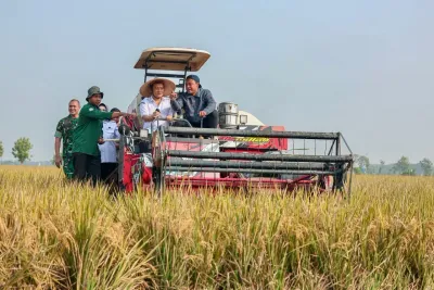 Target 10,5 Juta Ton Padi, Ahmad Luthfi Siapkan Jateng Hadapi Kemarau Panjang