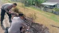 Cuaca Panas Picu Kebakaran Rumput di Tol Trans Jawa KM 274 Adiwerna