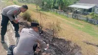 Cuaca Panas Picu Kebakaran Rumput di Tol Trans Jawa KM 274 Adiwerna