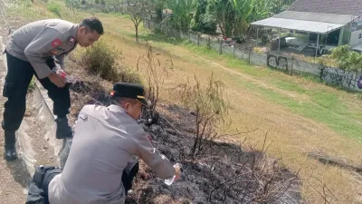 Cuaca Panas Picu Kebakaran Rumput di Tol Trans Jawa KM 274 Adiwerna
