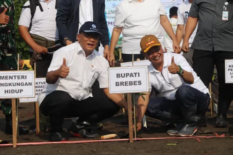 1.068 Ha Kawasan Pesisir Brebes Diterjang Abrasi, Menteri LH Aksi Tanam Mangrove