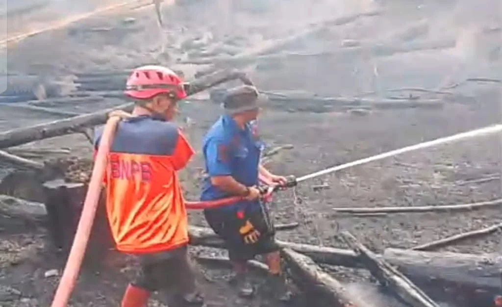 Kebakaran Hutan Pinus di Paguyangan Brebes, 4 Hektare Lahan Terbakar