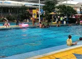 4 Panduan Dasar Cara Mudah Berenang bagi Pemula, Silakan Coba