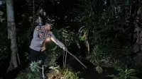Sempat Dicari Keluarga, Balita di Wiradesa Pekalongan Ditemukan Tak Bernyawa di Kubangan