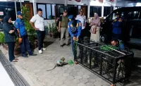 Resahkan Pengunjung, Pengamen Topeng Monyet di City Walk Pemalang Ditertibkan