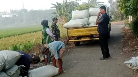 Bulog Kantor Cabang Tegal, melakukan penyerapan gabah di wilayah kerja eks-Karesidenan Pekalongan, Kamis 30 Juli 2026. Foto : istimewa