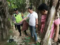 Laporan Sabung Ayam di Kedungwuni Ditindaklanjuti Polisi, Petugas Cek Lokasi