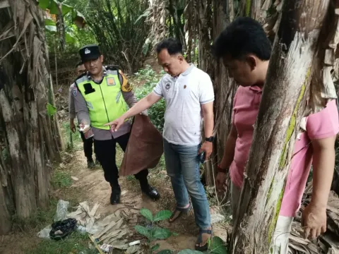 Laporan Sabung Ayam di Kedungwuni Ditindaklanjuti Polisi, Petugas Cek Lokasi