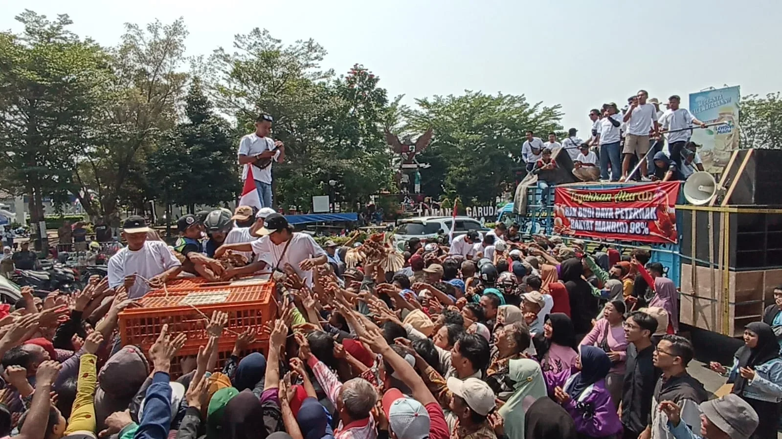 Ribuan Ayam Dibagikan Peternak di Alun-alun Kendal, Aksi Protes Berujung Ricuh Saat Warga Berebut