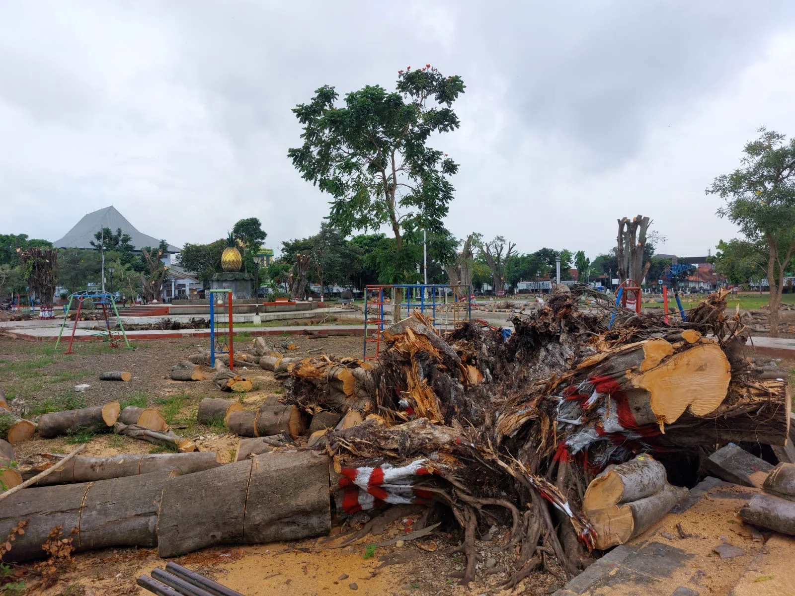 Dua Bupati Pemalang Terjerat KPK, Dua Kali Diawali Pohon Beringin Tumbang