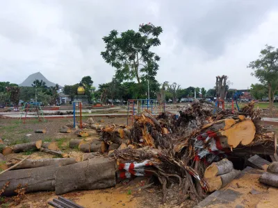 Dua Bupati Pemalang Terjerat KPK, Dua Kali Diawali Pohon Beringin Tumbang