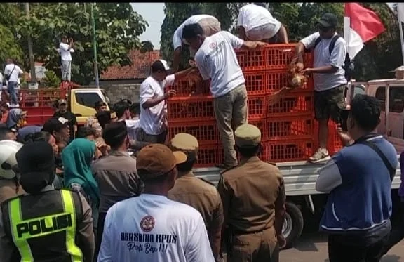 aksi peternak ayam di Batang