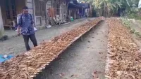 Dulu Dianggap Tak Bernilai, Dendeng Tembakau Kini Jadi Tambahan Cuan Petani Kendal