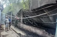 Kebakaran Kandang Ayam di Winduaji Brebes, 1.200 Ekor Mati, Kerugian Capai Rp88 Juta