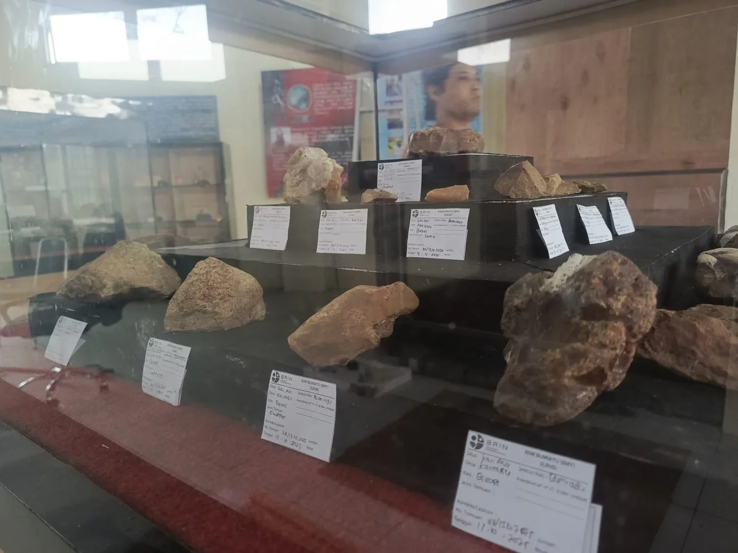 Ada Fosil Gajah Purba hingga Artefak, Ini Koleksi yang Akan Dipamerkan di Museum Purbakala Buton Brebes