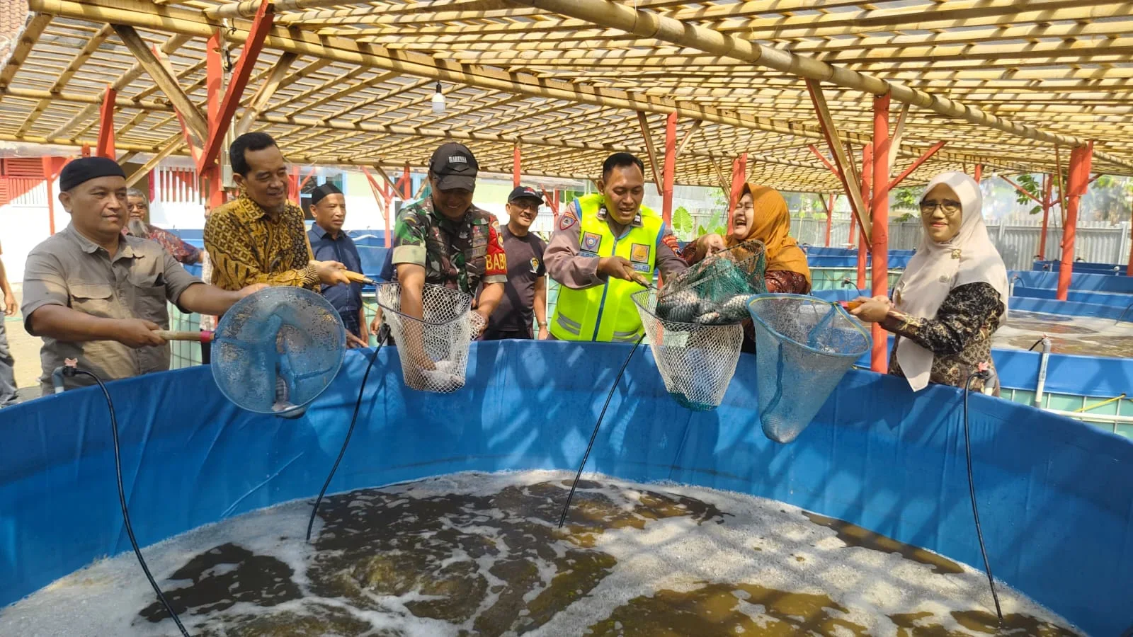 BUMDes Sido Mukti Penaruban Purbalingga Berhasil Kembangkan Ikan Nila Bioflok