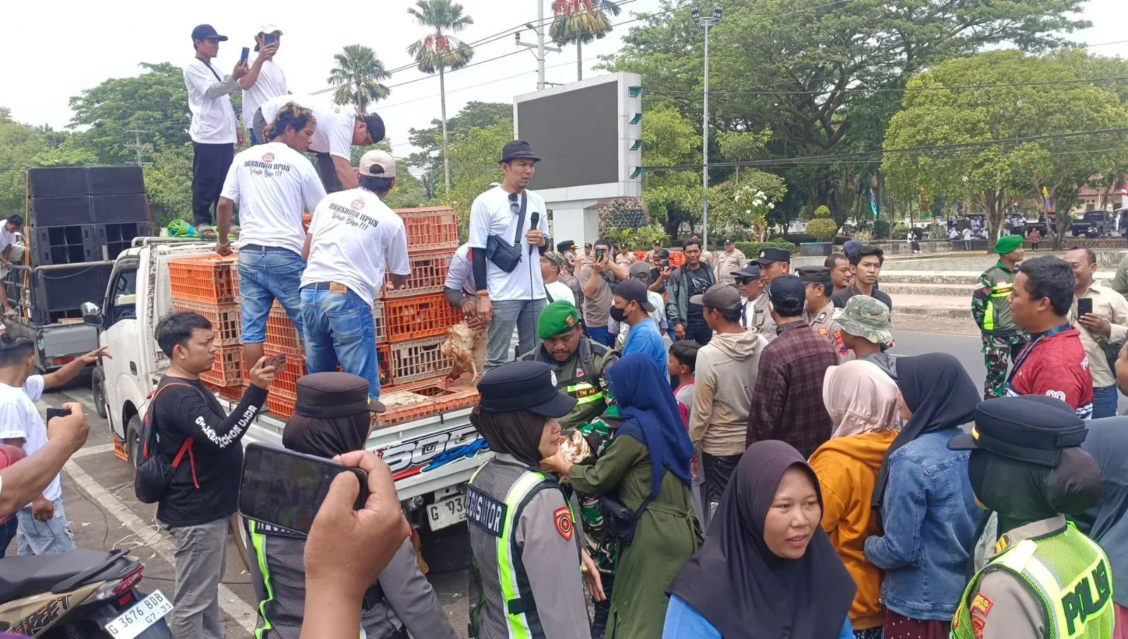 Peternak di Pekalongan Demo, Harga Telur Anjlok: Ratusan Ayam Petelur Dibagikan Gratis ke Warga