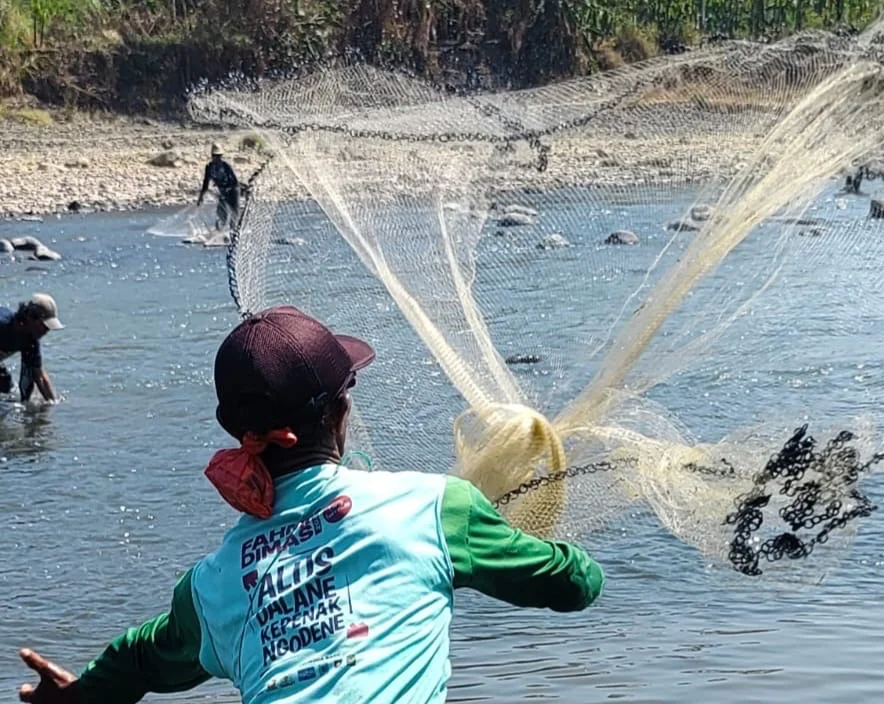 Semarak HUT ke-81 RI, Warga Penaruban Purbalingga Lomba Jala Ikan di Sungai Klawing