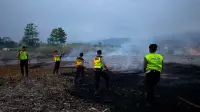 Lahan Pembuangan Limbah Kayu di Kajen Pekalongan Terbakar, Api Diduga Berasal dari Pembakaran Sampah Sisa Tebu