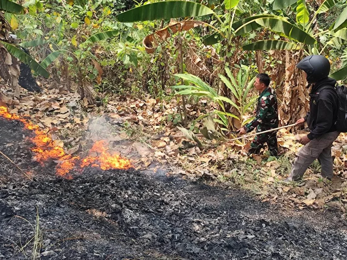 Petugas gabungan berjibaku memadamkann api yang membakar lahan di kawasan hutan Desa Magelung Kaliwungu selatan Kendal.