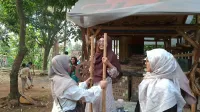 Lepas Penat Setelah Lomba, Kafilah MTQ Nasional Dolanan di Desa Wisata Kandri