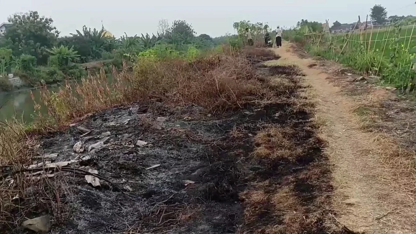 Api Mengintai di Musim Kemarau, Damkar Kendal Siagakan Enam Posko