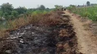 Api Mengintai di Musim Kemarau, Damkar Kendal Siagakan Enam Posko