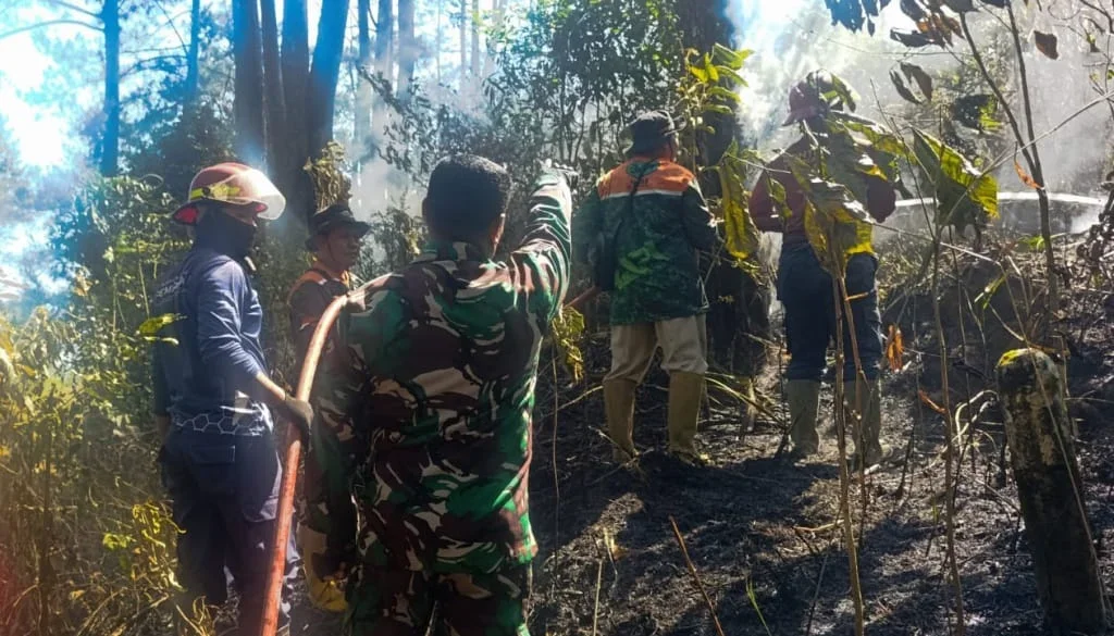 Petugas gabungan melakukan pemadaman api yang membakar lahan perhutani di Desa Winduaji , Kecamatan Paguyangan, Kabupaten Brebes