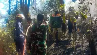 Kebakaran Lahan Perhutani Winduaji, Api Hanguskan Sekitar 1 Hektare