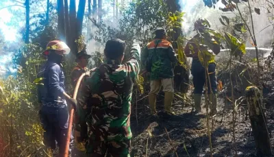 Kebakaran Lahan Perhutani Winduaji, Api Hanguskan Sekitar 1 Hektare