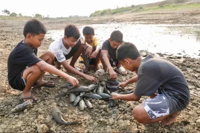 Pemprov Jateng Kubur 50 Ton Ikan Sapu-Sapu, Perbaiki Ekosistem Sungai Juana Pati