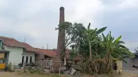 Cerobong Crustine Masih Berdiri, Jejak Kejayaan Pabrik Tapioka Hogwan di Jatisawit Bumiayu