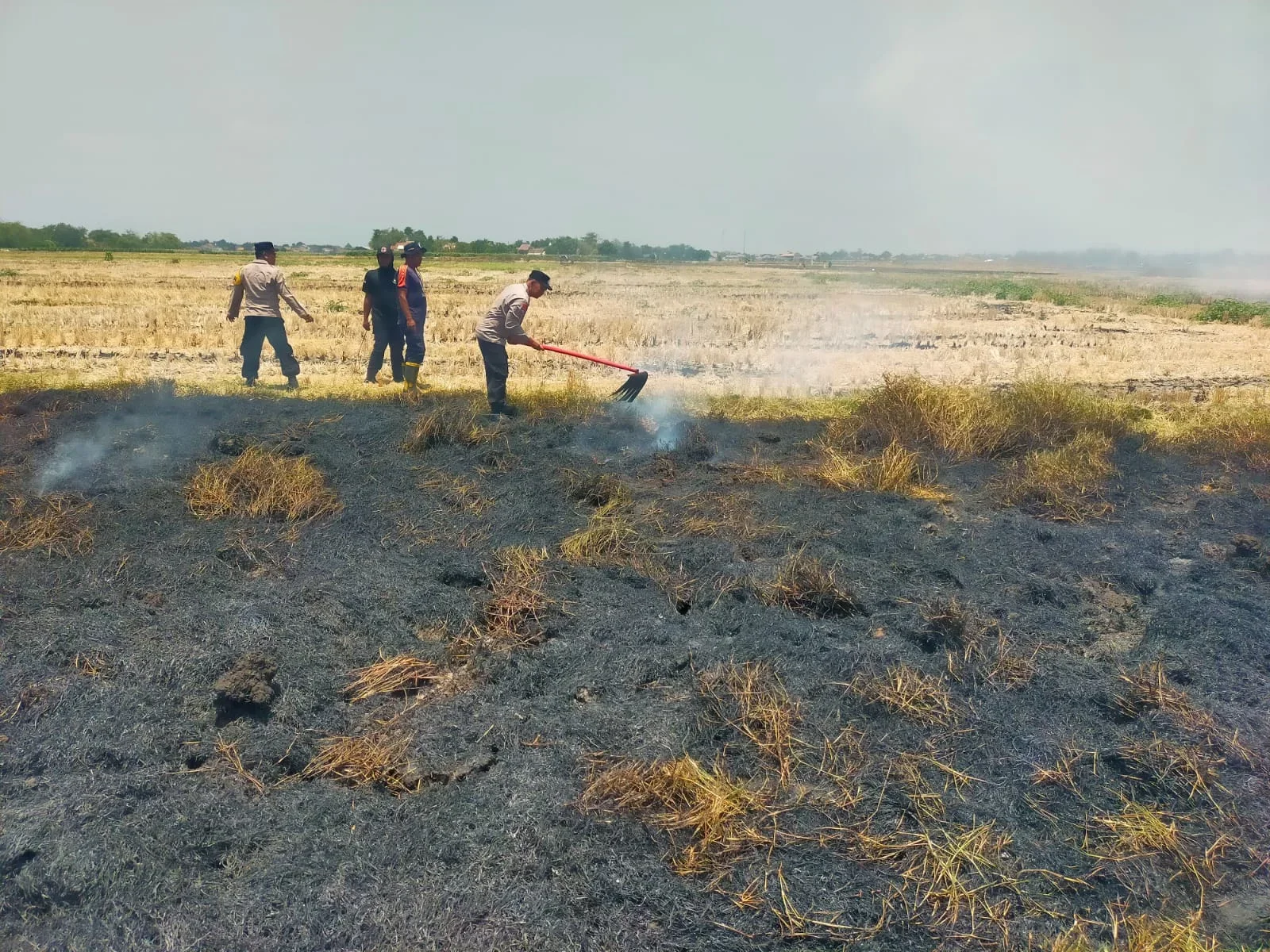 Personel Polsek Dukuhturi berupaya memadamkan api di pinggir ruas Tol Pejagan-Pemalang KM 271+200 B, wilayah perbatasan Tegal-Brebes, pada Senin , 21 September 2026.