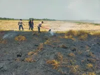Polisi dan Damkar Tegal Jinakkan Kebakaran Lahan di Tol Pejagan-Pemalang