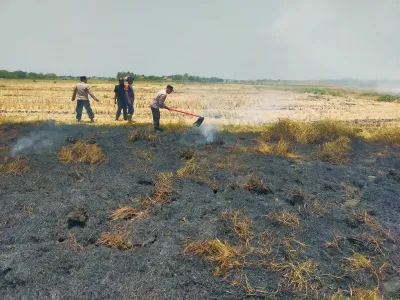 Polisi dan Damkar Tegal Jinakkan Kebakaran Lahan di Tol Pejagan-Pemalang