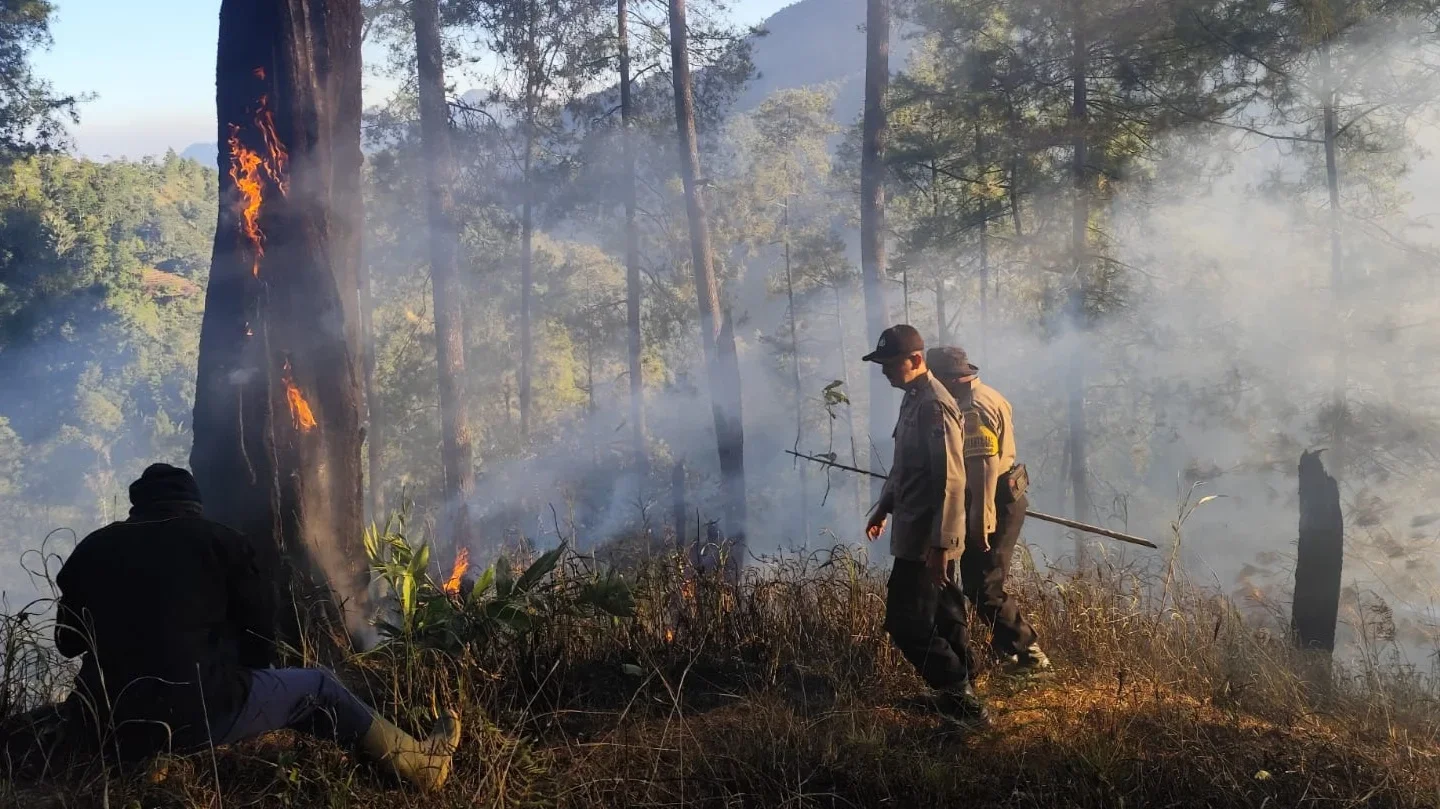 Gotong Royong di Lereng Perbukitan, TNI-Polri dan Warga Padamkan Kebakaran Hutan Pinus Petungkriyono Pekalongan