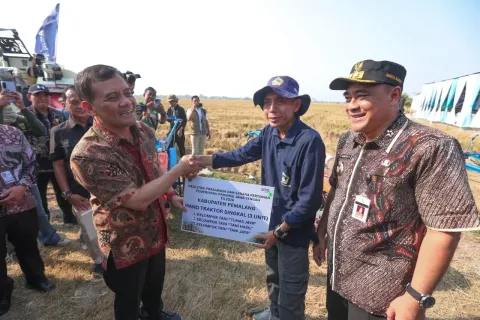 Produktivitas Padi di Pemalang Membaik, Tapi Dibayangi Penyusutan Lahan Sawah
