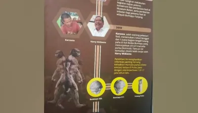 Sudah Diteliti Sejak 1923, Ini Alasan Bumiayu Penting bagi Penelitian Fosil