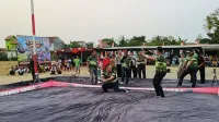 Seru, Ada Lomba Merpati Kolong Rayakan HUT ke-81 TNI di Pemalang