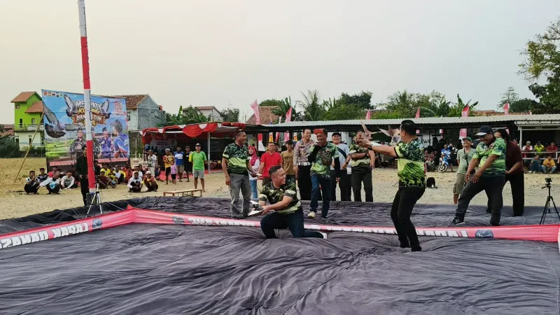 Seru, Ada Lomba Merpati Kolong Rayakan HUT ke-81 TNI di Pemalang