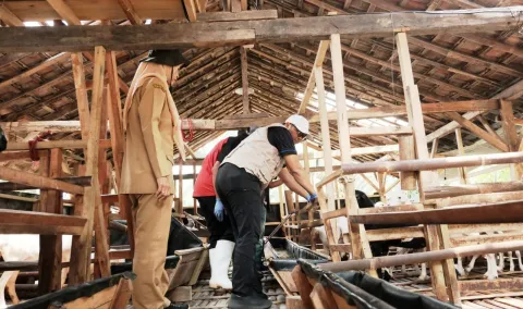 Distanparik Pemalang Turun ke Desa-desa Tangani Kesehatan Ternak