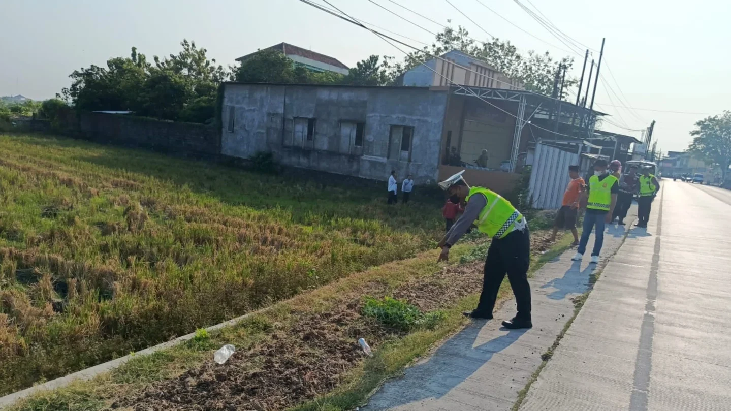 Motor Terjun ke Sawah di Patebon Kendal, Ibu Muda Meninggal, Dua Anaknya Luka-luka