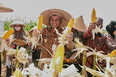 Produksi Jagung Jateng Sudah Capai 2,68 juta ton, Kukuhkan Sebagai Lumbung Pangan Nasional