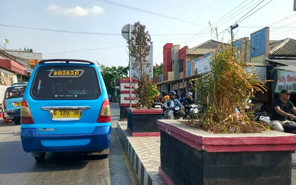 Taman di Median Jalan Utama Bumiayu Diminta Dirawat, Warga: Minimal Disiram Rutin