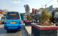 Taman di Median Jalan Utama Bumiayu Diminta Dirawat, Warga: Minimal Disiram Rutin