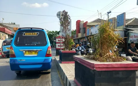 Taman di Median Jalan Utama Bumiayu Diminta Dirawat, Warga: Minimal Disiram Rutin
