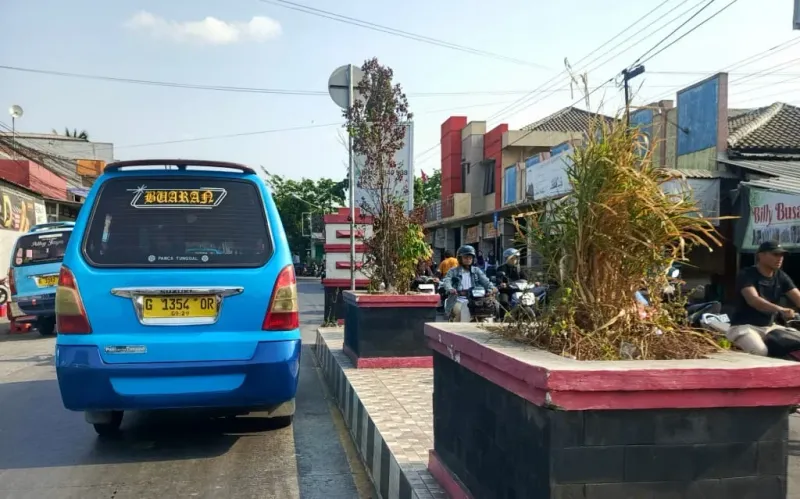 Taman di Median Jalan Utama Bumiayu Diminta Dirawat, Warga: Minimal Disiram Rutin
